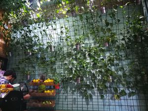 Above the seating area. at VanFruct Campineanu in Bucharest