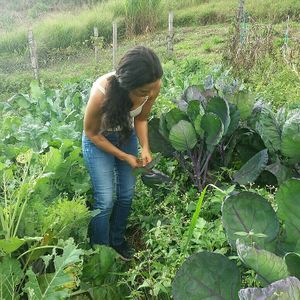 Cultivos orgánicos propios para tener los mejores ingredientes frescos y 100% orgánicos at Natural Gourmet Punto Saludable in Medellin