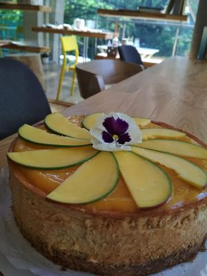 mango cheesecake  at Cafe Parallel 43 in Sofia