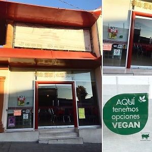Vegan friendly restaurant recommended by The Humane League.  at Jeon San in La Paz
