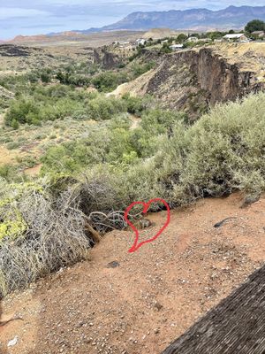   at River Rock Roasting Company in La Verkin