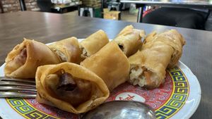Spring rolls  at Yi Xin Vegetarian 一心素食 in Central Singapore