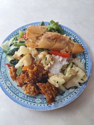 Economic rice plate - picked from buffet at Yi Xin Vegetarian 一心素食 in Central Singapore