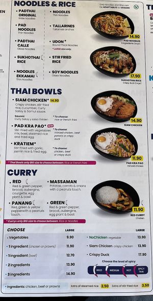 Rice and Noodle dishes can be adapted to vegan dishes   at Padthaiwok in Mallorca