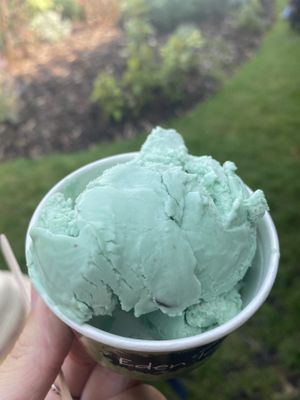 Vegan mint chocolate chip ice cream  at Eden Project in St Austell