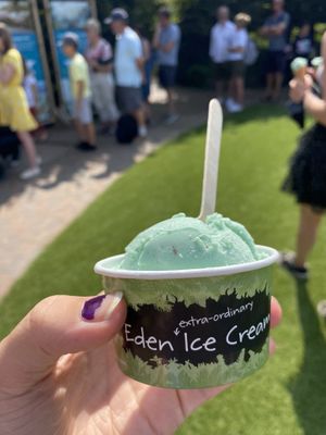 Vegan mint choc chip ice cream! (the cones are not vegan) 💗💗 at Eden Project in St Austell