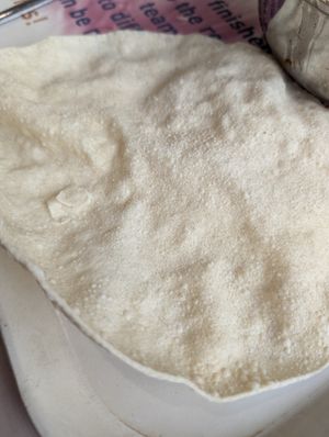  at Eden Project in St Austell