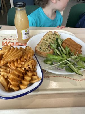   at Eden Project in St Austell