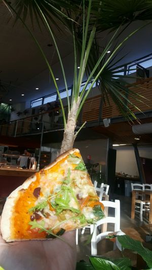 how do you take a good picture of pizza  at Eden Project in St Austell