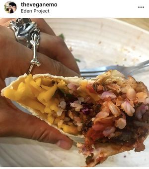 The veggie comes with vegan cheese as standard! at Eden Project in St Austell