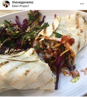 Vegan burrito, it’s giant and packed with loads of veg and vegan cheese at Eden Project in St Austell