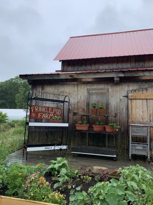 Outside  at Frinklepod Farm Store in Arundel