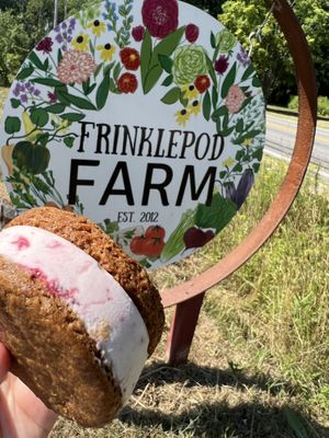 Maine strawberry icecream between gingerbread cookies!   at Frinklepod Farm Store in Arundel