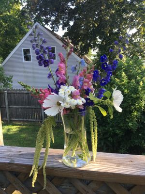 Cut your own flowers at Frinklepod Farm Store in Arundel