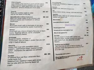  at Ol-Lin Vegan in Ajijic