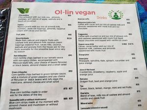  at Ol-Lin Vegan in Ajijic