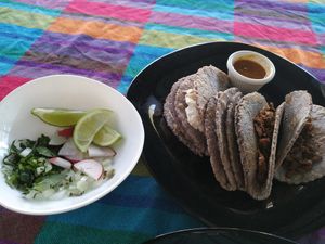 Tacos on the right, 
Quesadillas on the left (on same plate) at Ol-Lin Vegan in Ajijic