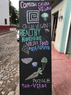 Homemade Vegan Food - Cute Colourful Street Entrance at Ol-Lin Vegan in Ajijic