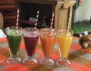 All Natural Juices - Green, Forest Fruits, Carrot and Orange at Ol-Lin Vegan in Ajijic