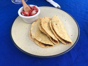 Tacos - Barbacoa (Jamaica Flower), Chicharrón and Bistec with Pico de Gallo at Ol-Lin Vegan in Ajijic
