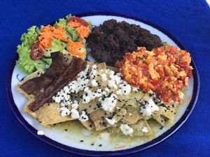 Chilaquiles Verdes con Huevo a la Mexicana, Frijoles y Tocino! - Green Chilaquiles with Eggs, Black Beans and Bacon! at Ol-Lin Vegan in Ajijic