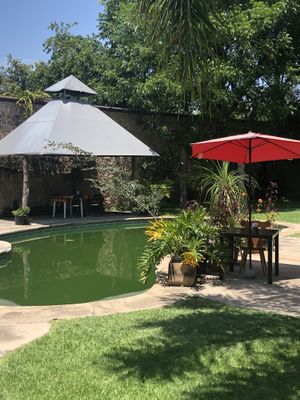 Beautiful garden and delicious food!!! at Ol-Lin Vegan in Ajijic