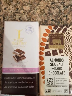 Vegan chocolate options at Riba Smith Supermercado - Alta Plaza in Panama City
