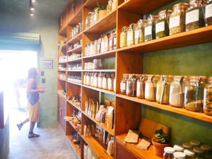  at Seedling in Tulum