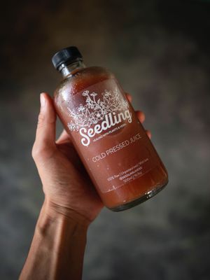  at Seedling in Tulum