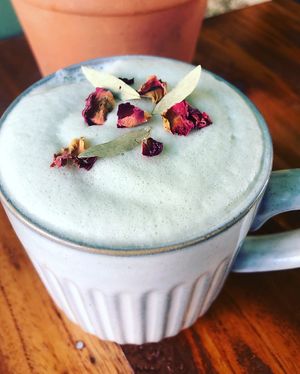  at Seedling in Tulum