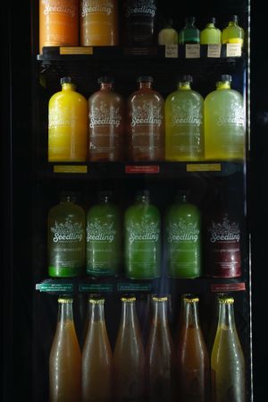 Cold pressed juice and kombuchas made by Seedling at Seedling in Tulum