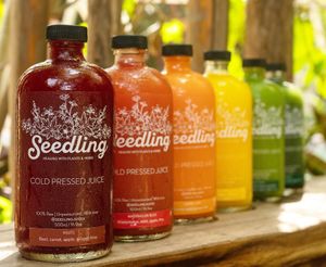 Cold pressed juice cleanses  at Seedling in Tulum