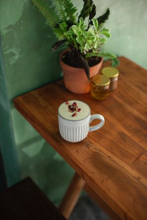  at Seedling in Tulum