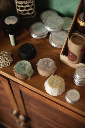  at Seedling in Tulum