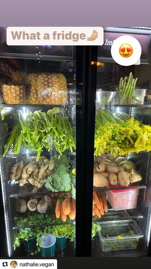  at Seedling in Tulum