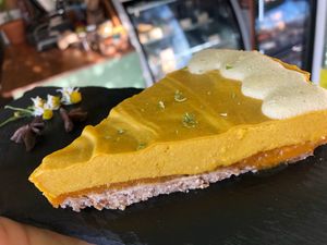  at Seedling in Tulum