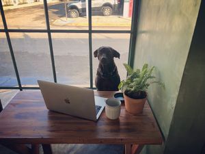  at Seedling in Tulum