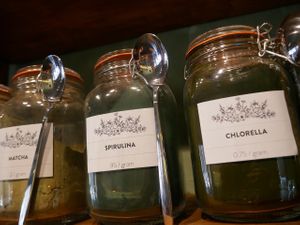  at Seedling in Tulum