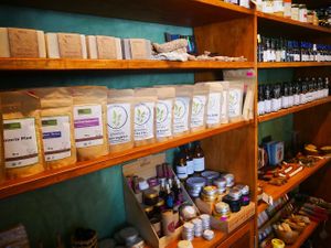  at Seedling in Tulum