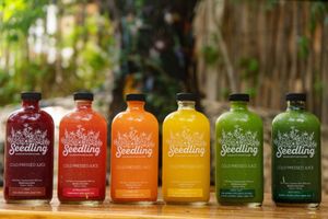 Cold pressed juice cleanses  at Seedling in Tulum