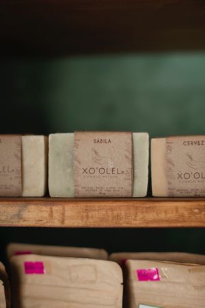  at Seedling in Tulum