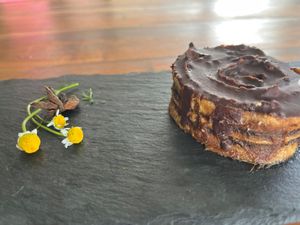  at Seedling in Tulum