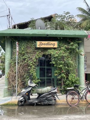 Outside  #Veganuary at Seedling in Tulum
