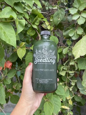 Spirulina + cilantro + celery + apple + lime #Veganuary at Seedling in Tulum