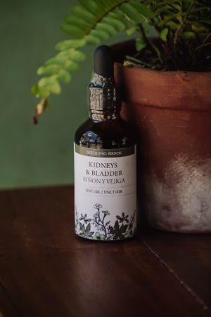 Tinctures for all systems of the body at Seedling in Tulum