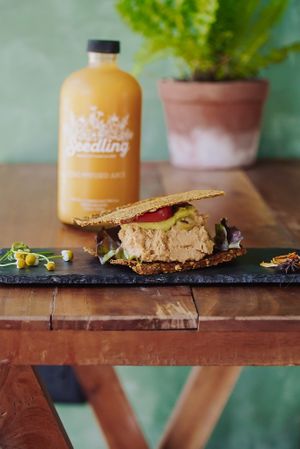 Hummus sandwich on raw dehydrated bread at Seedling in Tulum