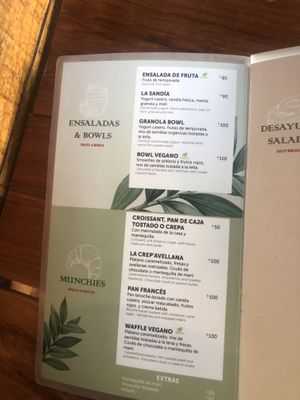 3 Vegan options on the menu  at Choux Choux Cafe in Playa Del Carmen