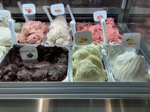 All of the vegan flavors! Blood Orange, Grapefruit, Strawberry, Lemon, Pineapple, and Dark Chocolate 😋  at Sweetaly Gelato in Salt Lake City