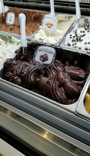 vegan Dark Chocolate  at Sweetaly Gelato in Salt Lake City