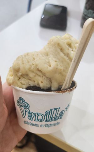 Fig and dark chocolate at Vanilla Plus Gelateria Artigianale in Gozo